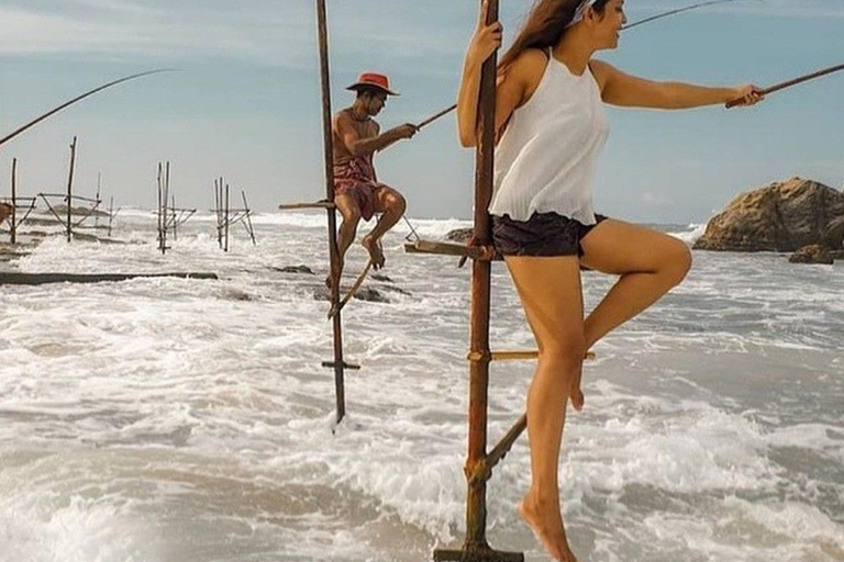 Mirissa: Private Coastal Tour with Coconut Tree Hill