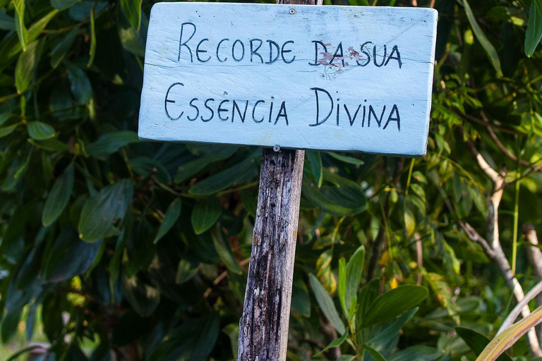 Itacaré: Maraú - 5-Day Silence and Purification Retreat