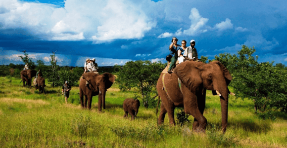 TheActivity that won the Best Tourist Attraction in SriLanka