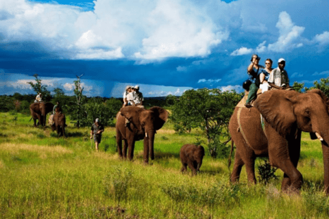 TheActivity that won the Best Tourist Attraction in SriLanka