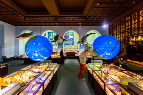 وارسو: تذكرة متحف وارسو لمدة 1-3 أيام بالإضافة إلى حفلة بيانوبطاقة وارسو 72 ساعة