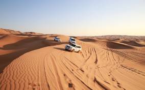 Dubai: Red Dune Safari, Camel Ride, Sandboard & BBQ Options