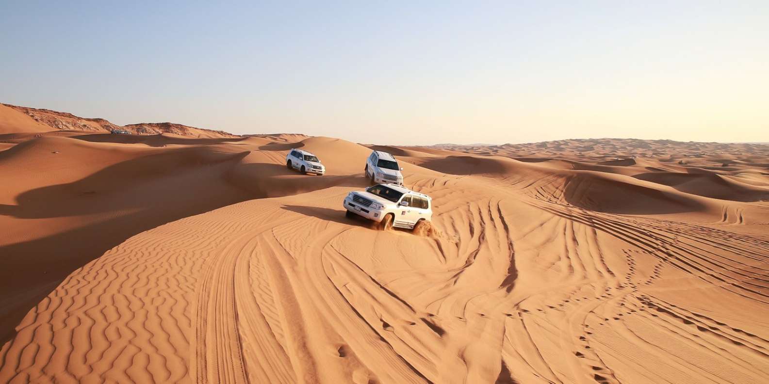 Fra Dubai: Ørkentur med og valgfri BBQ | GetYourGuide