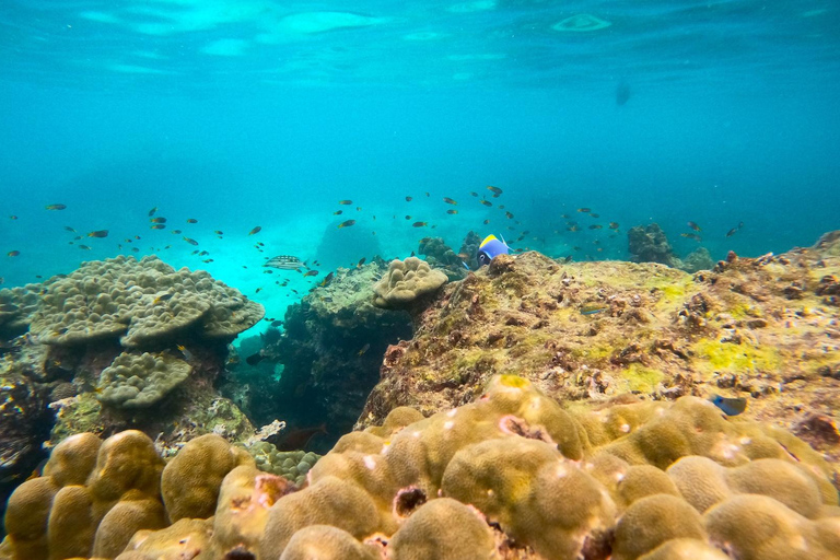 Koh Pha Ngan: Koh Tao & Nang Yuan Tour with Snorkel, Lunch Option 1: Hotel Pick up in Koh Pha Ngan