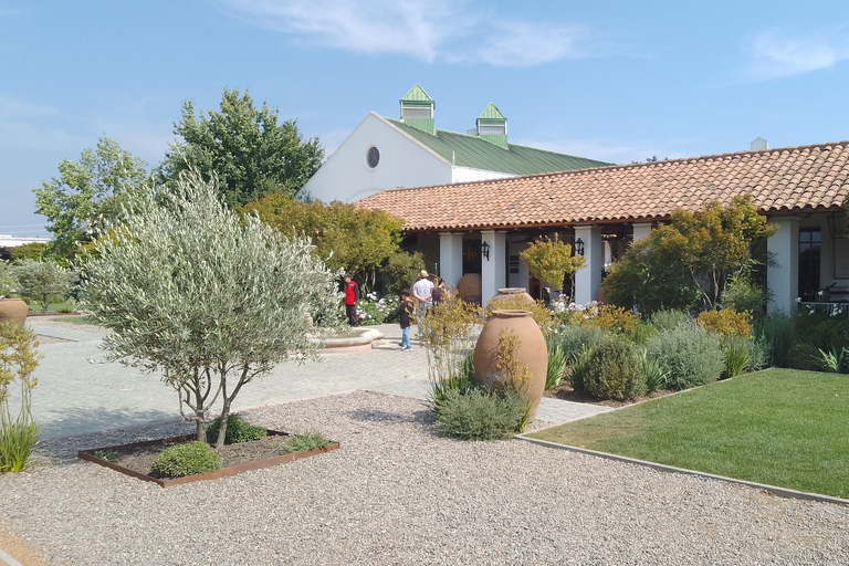 Wineries Tour in Casablanca Valley from Valparaiso Shared tour