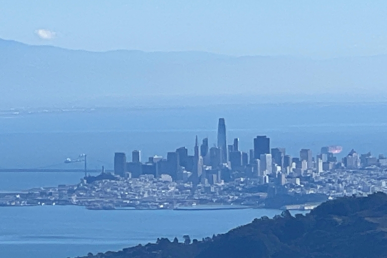 San Francisco: visite privée en voiture de Muir Woods, Sausalito et plus