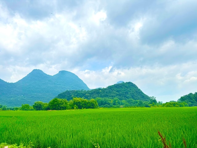 Guilin: Half Day Yanzi Cave Exploration Tour