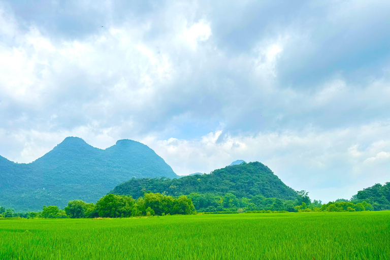 Guilin: Half Day Yanzi Cave Exploration Tour Guilin: Yanzi Cave Exploration Tour with Transfer