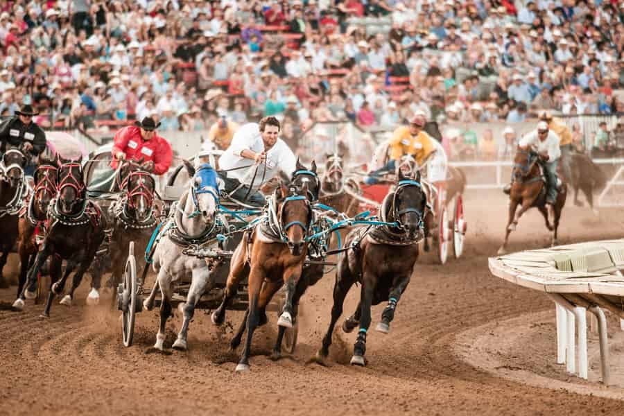 Calgary Stampede: Zweitägiges Nervenkitzel-Paket. Foto: GetYourGuide