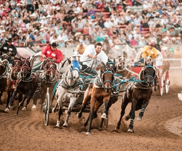 Calgary Stampede: Pacote de emoções para dois dias