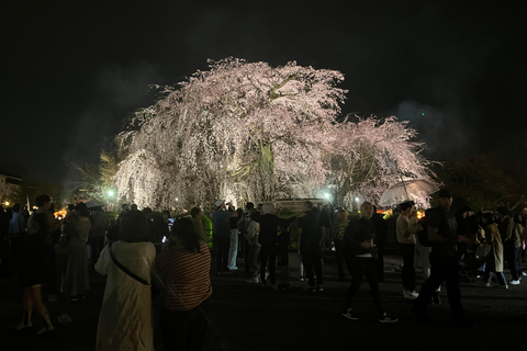 Kioto: Gion tour, wandeling met gids