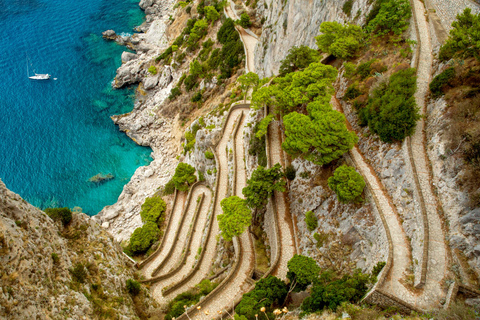 De Positano : Excursion d'une journée à Capri - Excursion de groupe en bateauVisite de Capri en petit groupe par bateau