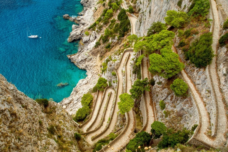 Von Positano: Tagestour nach Capri - Gruppentour mit dem BootCapri Kleingruppentour mit dem Boot