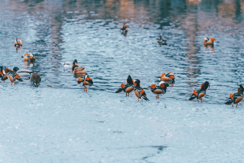 Pequim: Ingresso para o Parque Beihai