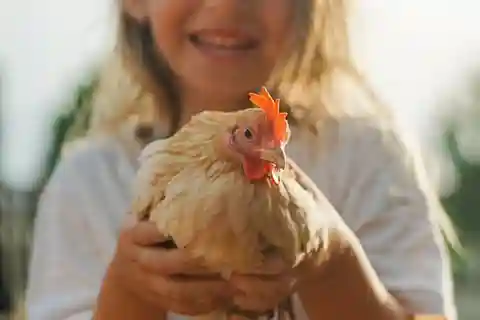Alghero: visita um abrigo de animais em Olmedo