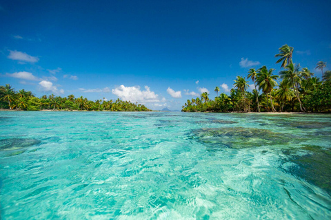 Tahaa & Raiatea: Coral Garden, Tropical Snorkeling, and Pearl Farm