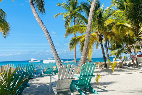 Punta Cana: Island escape to Saona, catamaran & beach lunch Punta Cana: Catamaran Party Cruise | Open Bar & Snorkeling