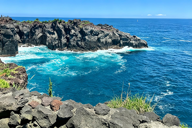 Small Group Day Tour:Omuro Mountain & the Izu Scenic Railway Hotel Transfer Option