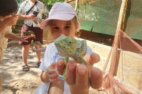 Zanzibar: Spice Farm, Stone Town or Jozani Forest with lunch Spice Farm Experience with lunch – (No Transport)