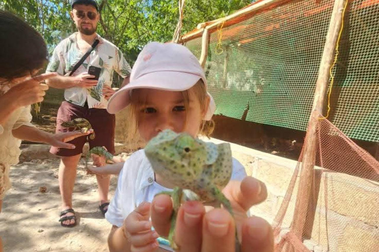 Zanzibar: Spice Farm, Stone Town or Jozani Forest with lunch Spice Farm Experience with lunch – (No Transport)