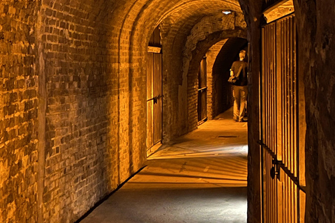 Reims : Entdeckungstour Kleine Produzenten Champagner Tagestour