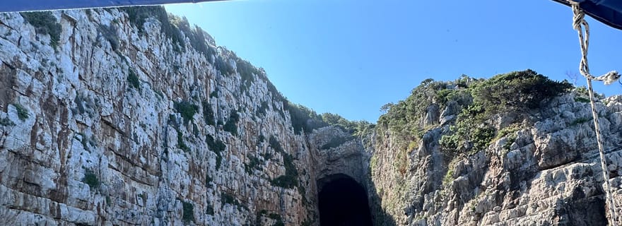 Vlore : Visite privée en hors-bord de la grotte de Haxhi Ali
