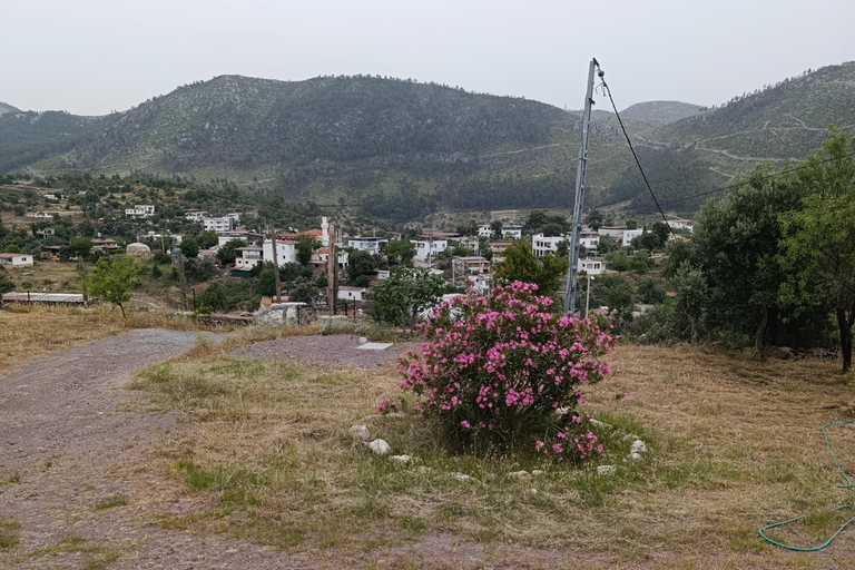 Rustic cooking day at Bodrum country home