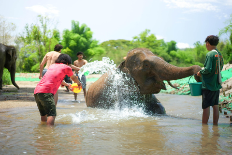 Chiang Mai: Jungle Jumbo Elephant Sanctuary with Waterfall