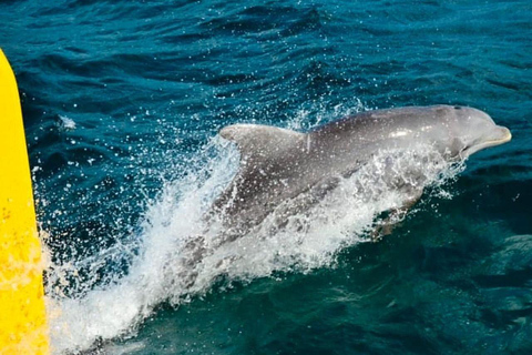 牙买加：骑马探秘与日落双体船巡游牙买加：骑马体验与日落双体船巡游
