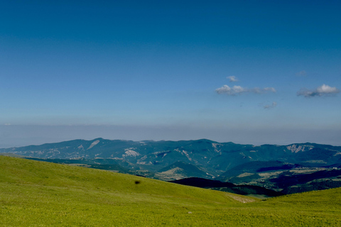 Tbilisi: Didgori, Dashbashi Canyon & Asureti Tour
