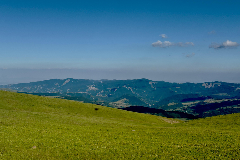 Tbilisi: Didgori, Dashbashi Canyon & Asureti Tour
