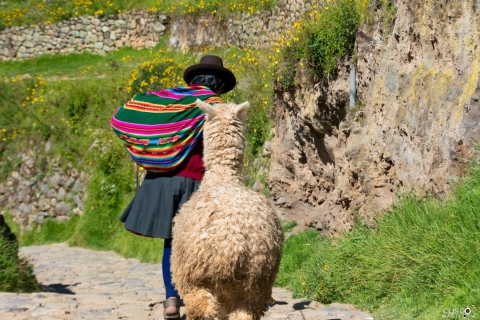 Półdniowa wycieczka po mieście z Cusco