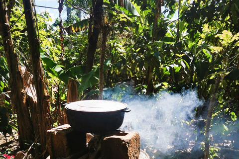 Private Damajagua Waterfalls Canyoning + Cocoa & Coffee Tour