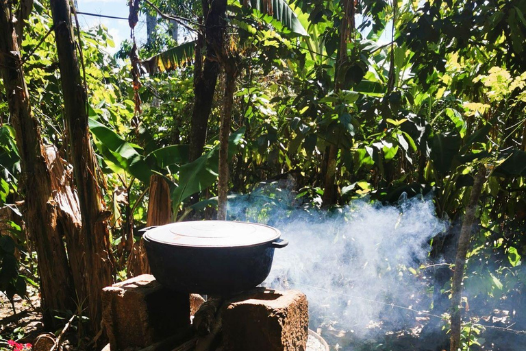 Private Damajagua Waterfalls Canyoning + Cocoa & Coffee Tour