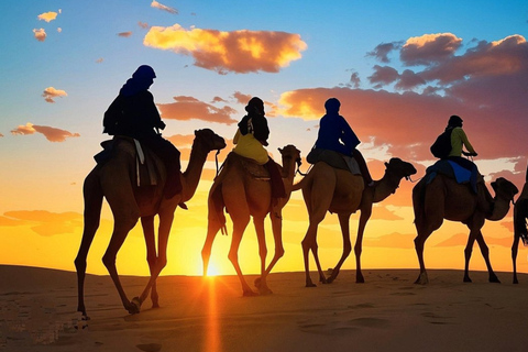 Marrakech: Agafay Desert Quad, Camel Ride & Dinner Fire Show