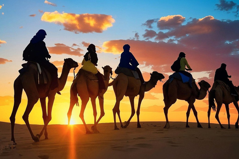 Marrakech: Agafay Desert Quad, Camel Ride & Dinner Fire Show