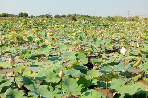 Siem Reap: Tonle Sap Lake & Floating Village Tour Tour in a Tuk Tuk