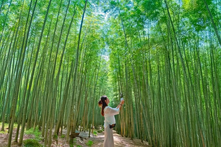 From Busan: Gyeongju Ancient Capital Day Tour