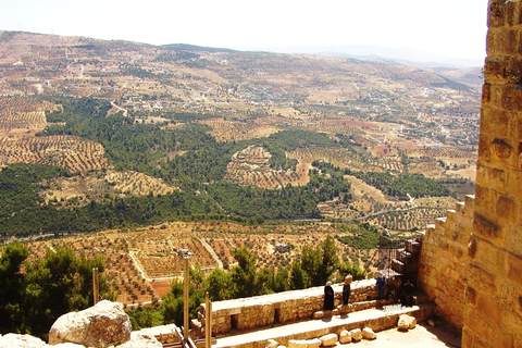 Group Tour From Amman: Jerash and Ajloun Castle
