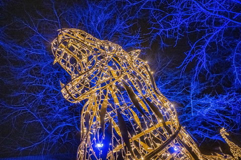 Chester Zoo: Lanterns and Light Entry