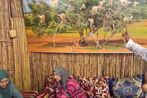 Marrakech:Atlas Mountains, Ourika Waterfall with guide+Lunch Marrakech:Atlas Mountains, Ourika Waterfall with Guide+Lunch