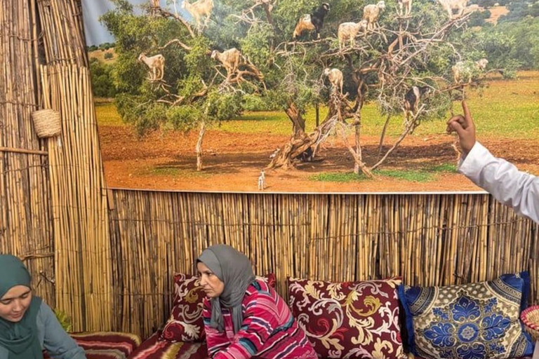 Marrakech:Atlas Mountains, Ourika Waterfall with guide+Lunch Marrakech:Atlas Mountains, Ourika Waterfall with Guide+Lunch