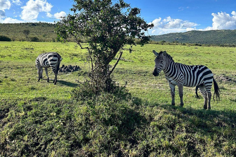 Nairobi: 3-Day epic trip to Maasai Mara Reserve with meals 3 days, 2 nights private safari to Mara in a tourist VAN