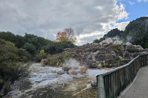 From Auckland: Lake Taupo and Rotorua Private Day Tour