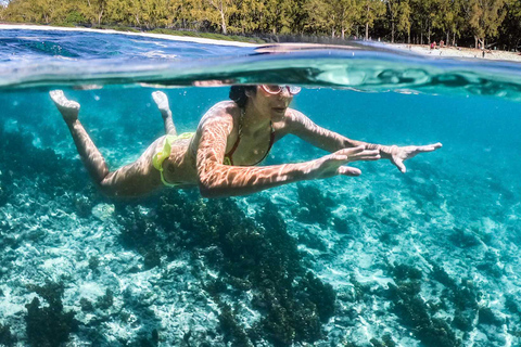 Playa Pública de Tamarin: Natación con delfines y snorkel con barbacoa