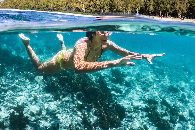 Playa Pública de Tamarin: Natación con delfines y snorkel con barbacoa