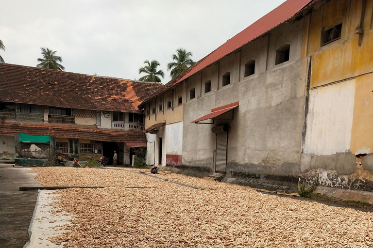 Hidden Tales of Old Kochi-Heritage Walk with a Local Insider