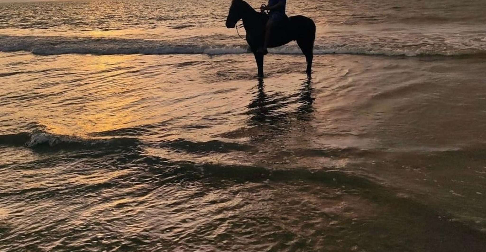 Cartagena, Escursione a cavallo sulla spiaggia - Hizvo