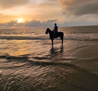 Cartagena, Escursione a cavallo sulla spiaggia - Hizvo