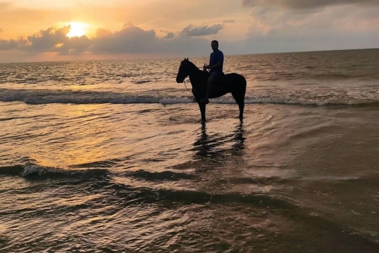 Cartagena : Excursion à cheval sur la plageCarthagène : Randonnée à cheval sur la plage